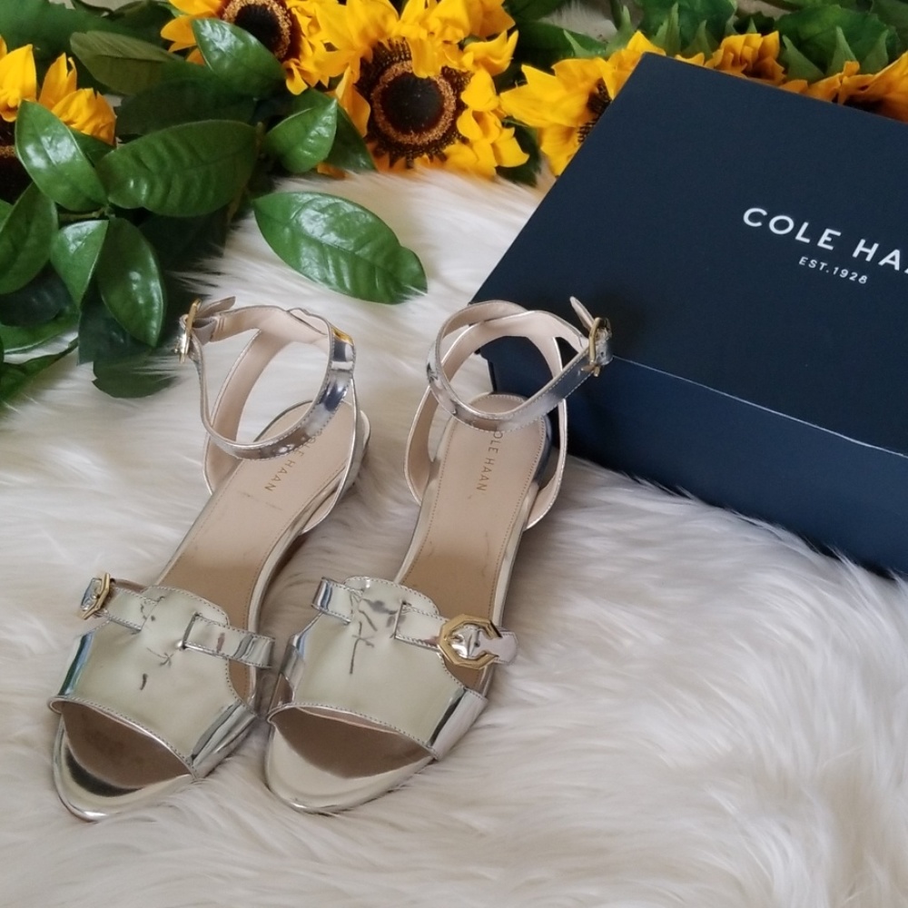 Cole Haan Terrin Ankle Strap Wedge Sandal
